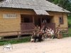 Rumunia - Sierpień 2011 - Emil Hamera