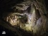 Sala Mastodonta