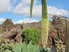 J. Rabek - Lanzarote