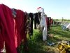 Masowe suszenie kombajnów Aut. Ewelina Raczyńska